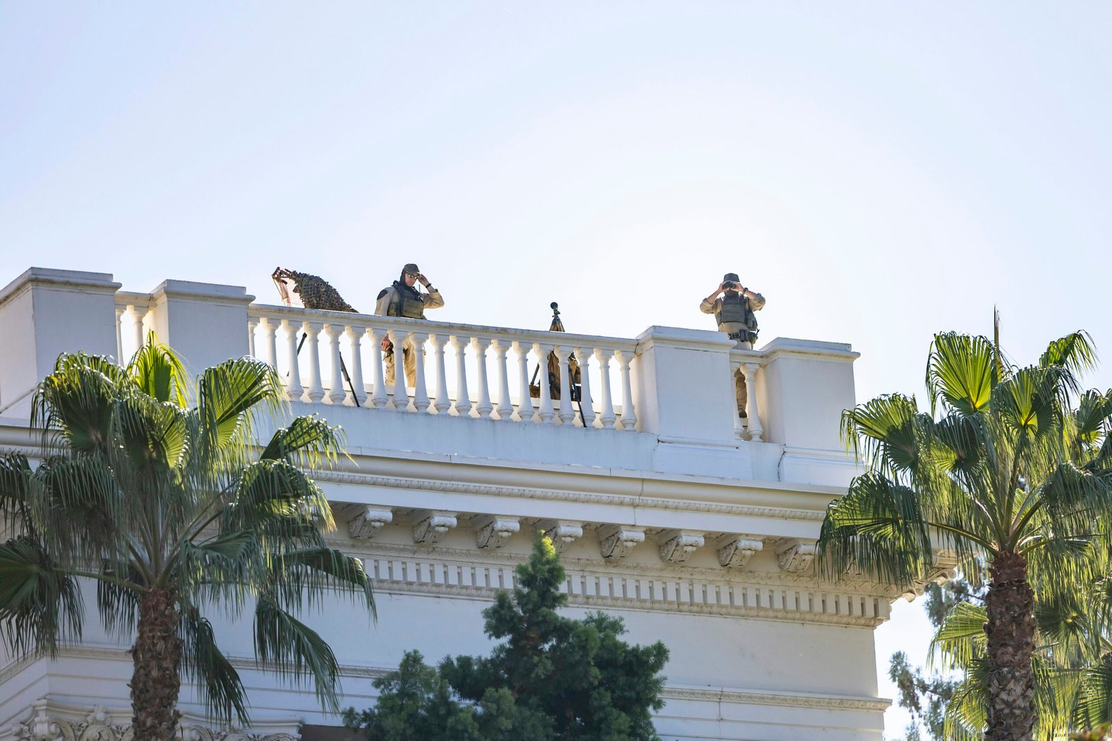 People on a building rooftop with palm trees