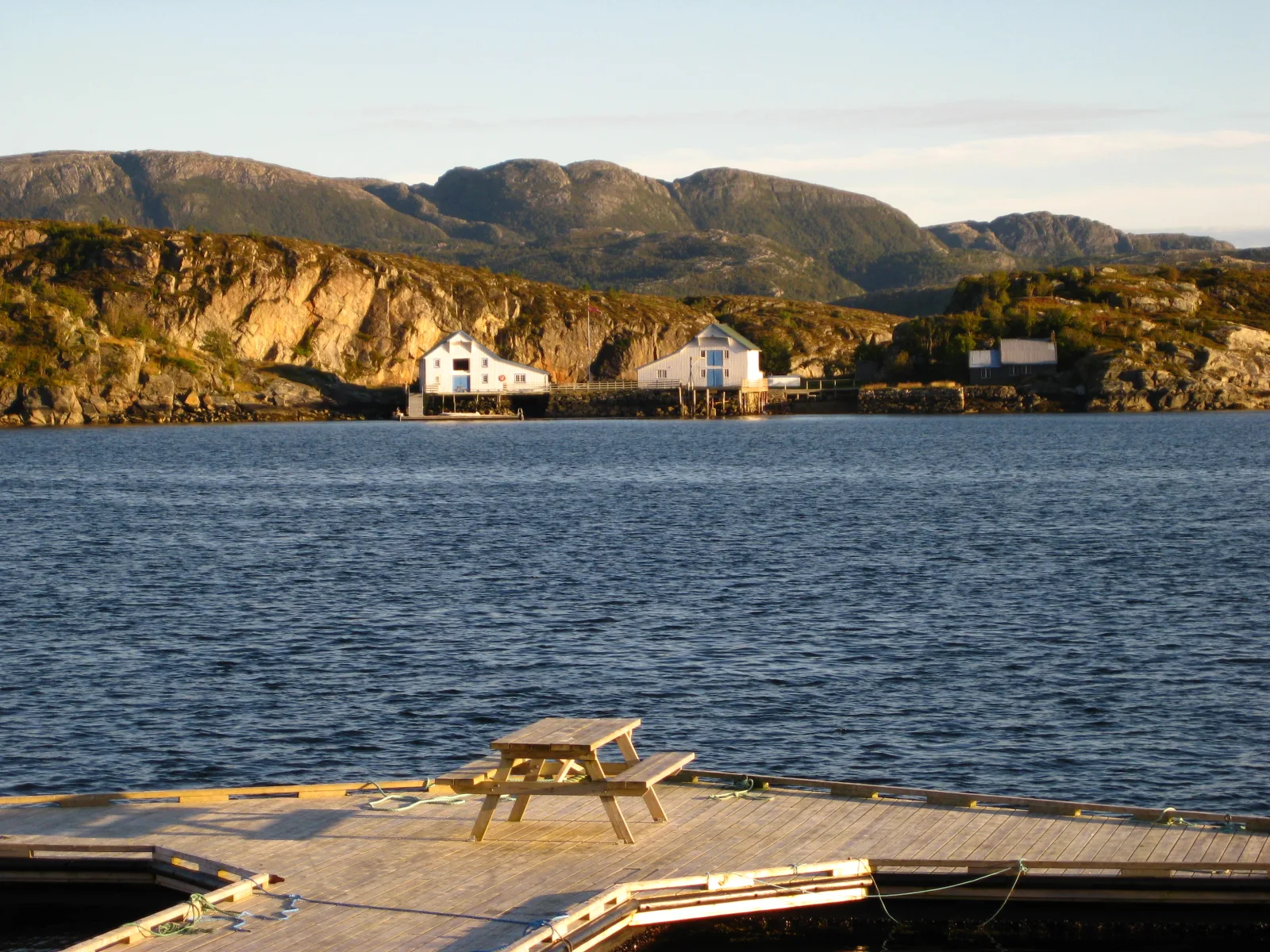 stokkoya