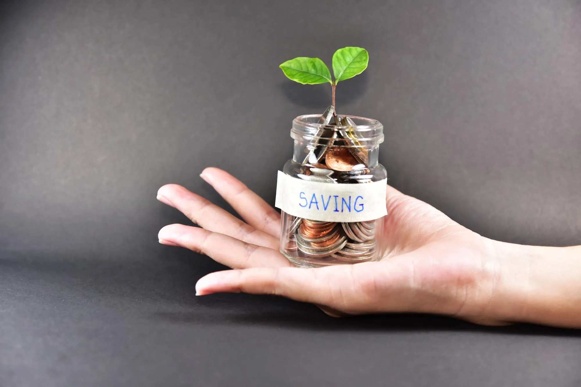 Close-up of hand holding jar with coins against gray background