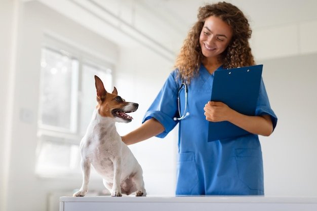 Dog interacts with smiling vet holding a clipboard