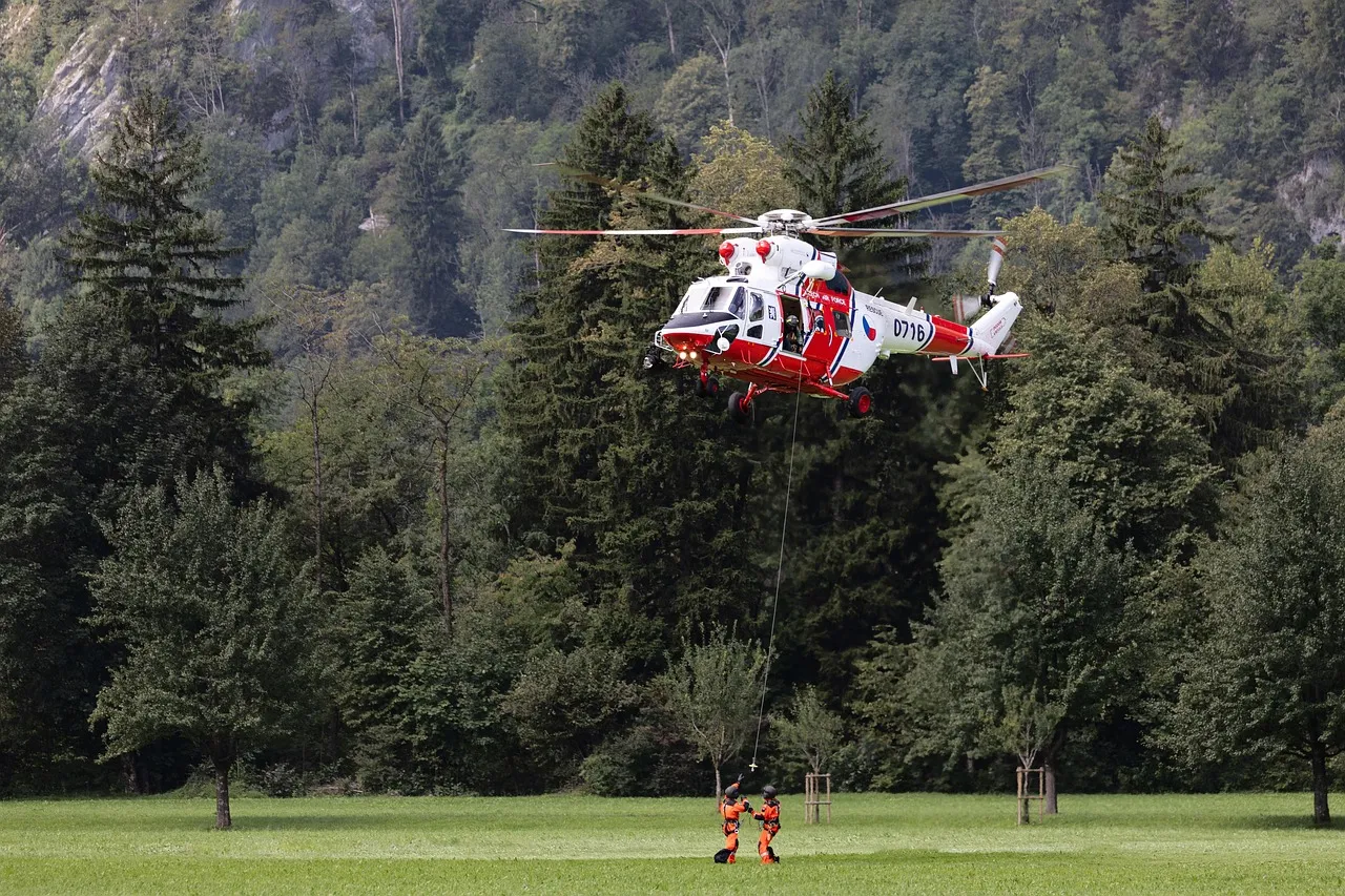 pzl w-3 sokół, czech air force, airshow, rescue helicopter, helicopter, nature, rescue exercise, rescue demo, aircraft, aviation, trees