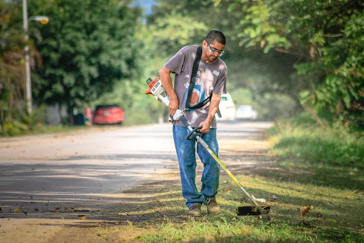 nature, forest, highway, trees, landscape, earth, men, employee, job, herb, scenic, tropical, moutains, summer