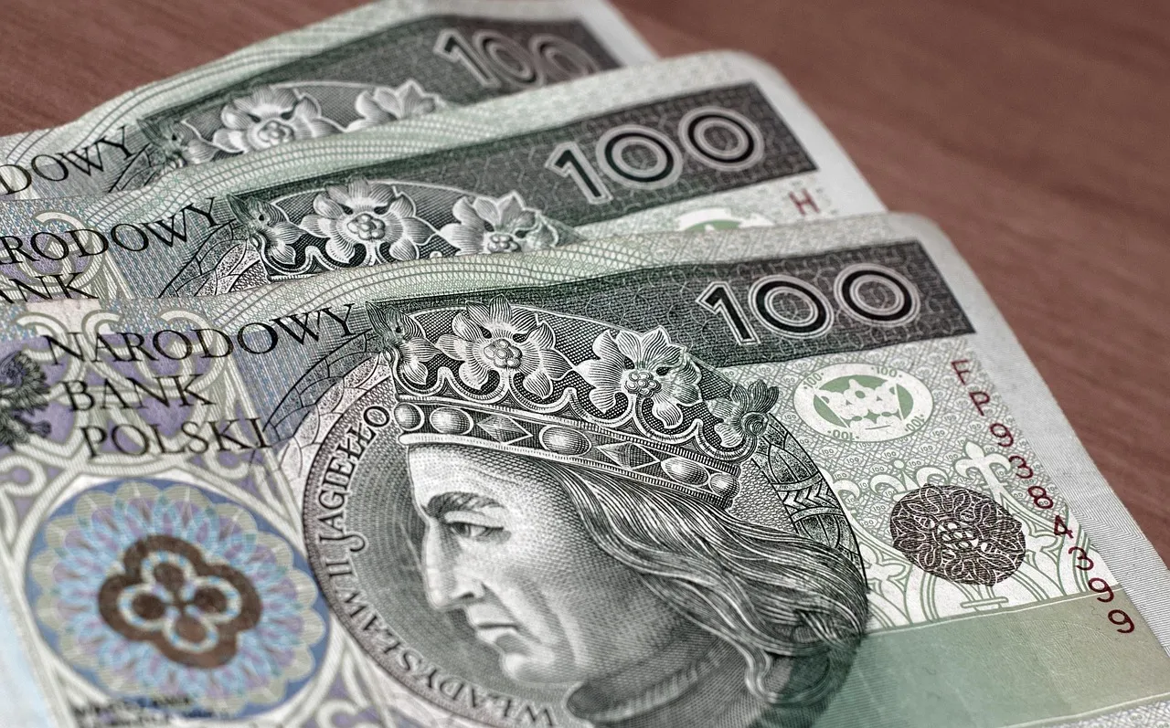 money, banknotes, polish zloty, wealth, business, finances, investments, pay, bills, bank note, currency, polish zloty, polish zloty, polish zloty, polish zloty, polish zloty