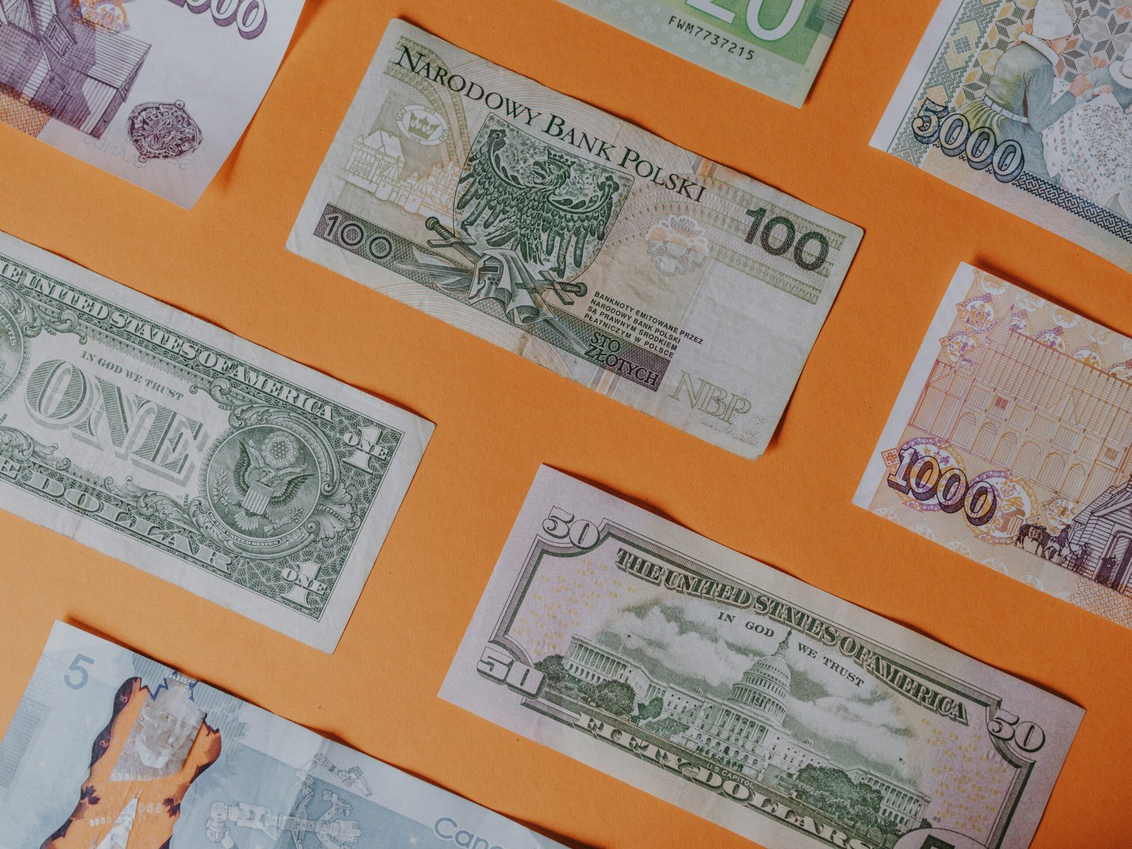 assorted banknotes on orange surface