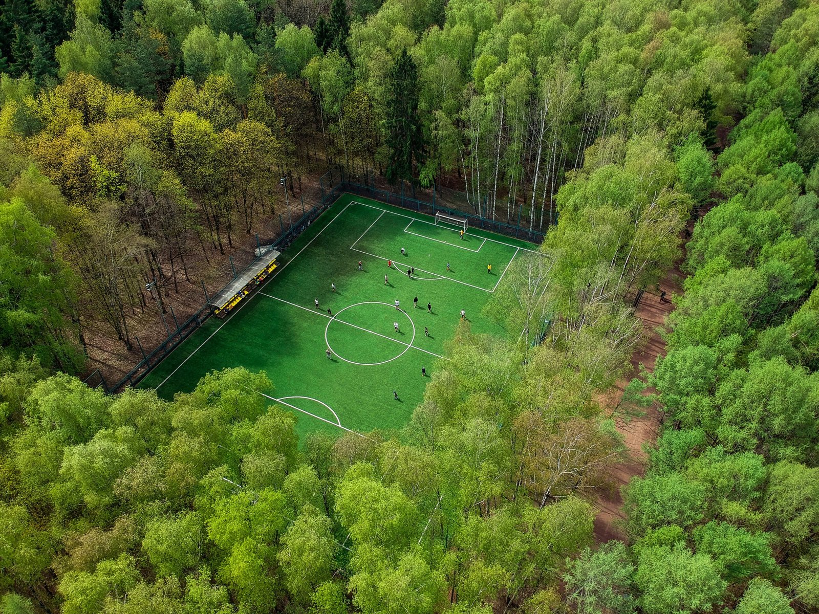 aerial view of soccer field surrounded by trees