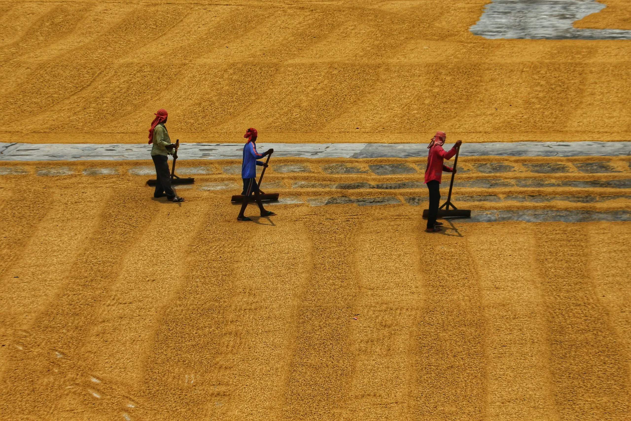 a group of people standing on top of a dirt field
