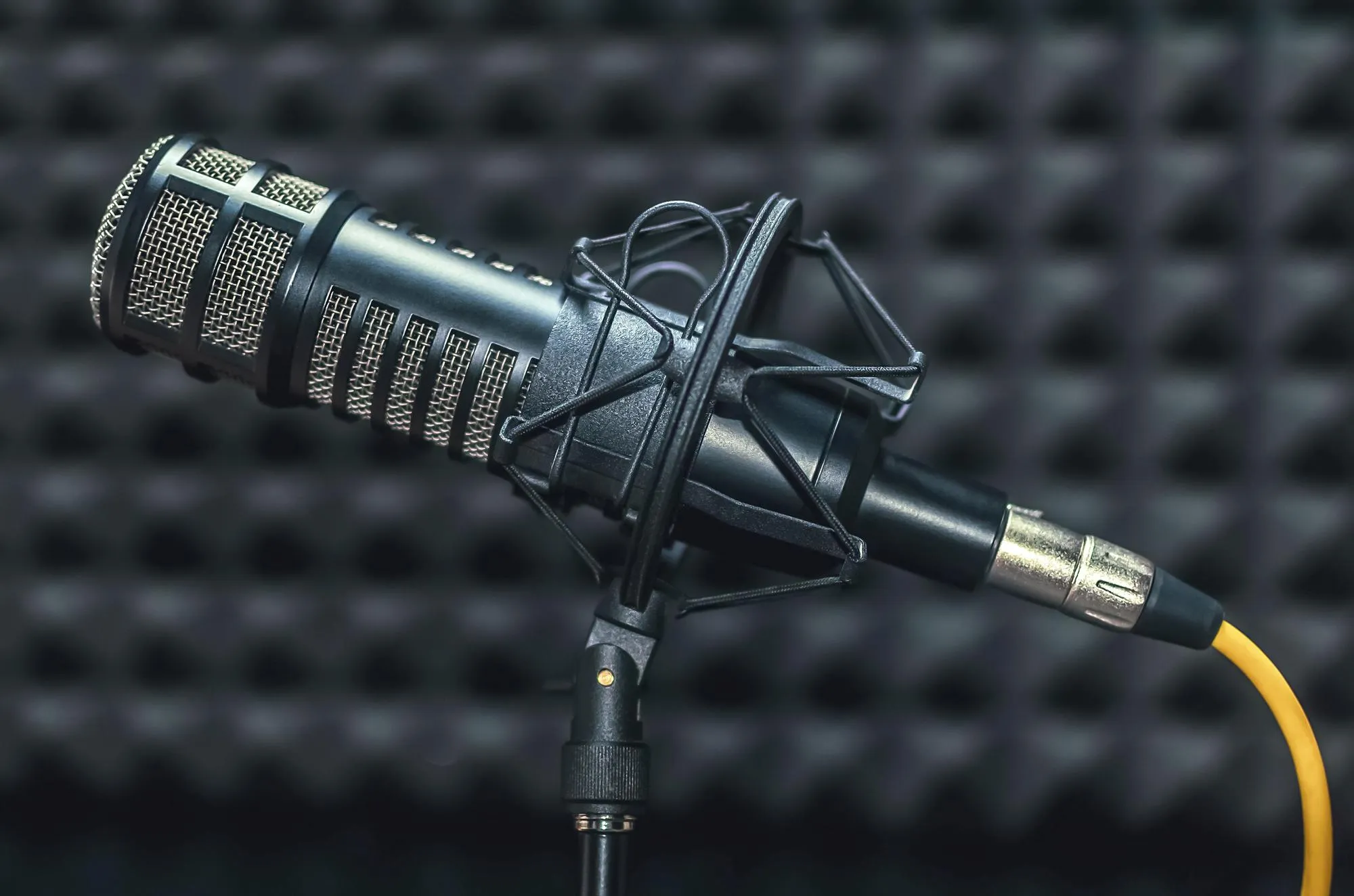 Professional microphone in radio station studio
