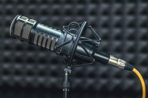 Professional microphone in radio station studio