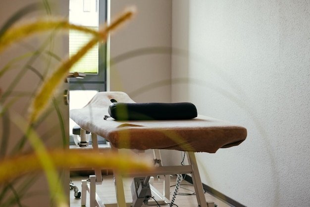 View in a treatment room with a surgery couch and plants in front