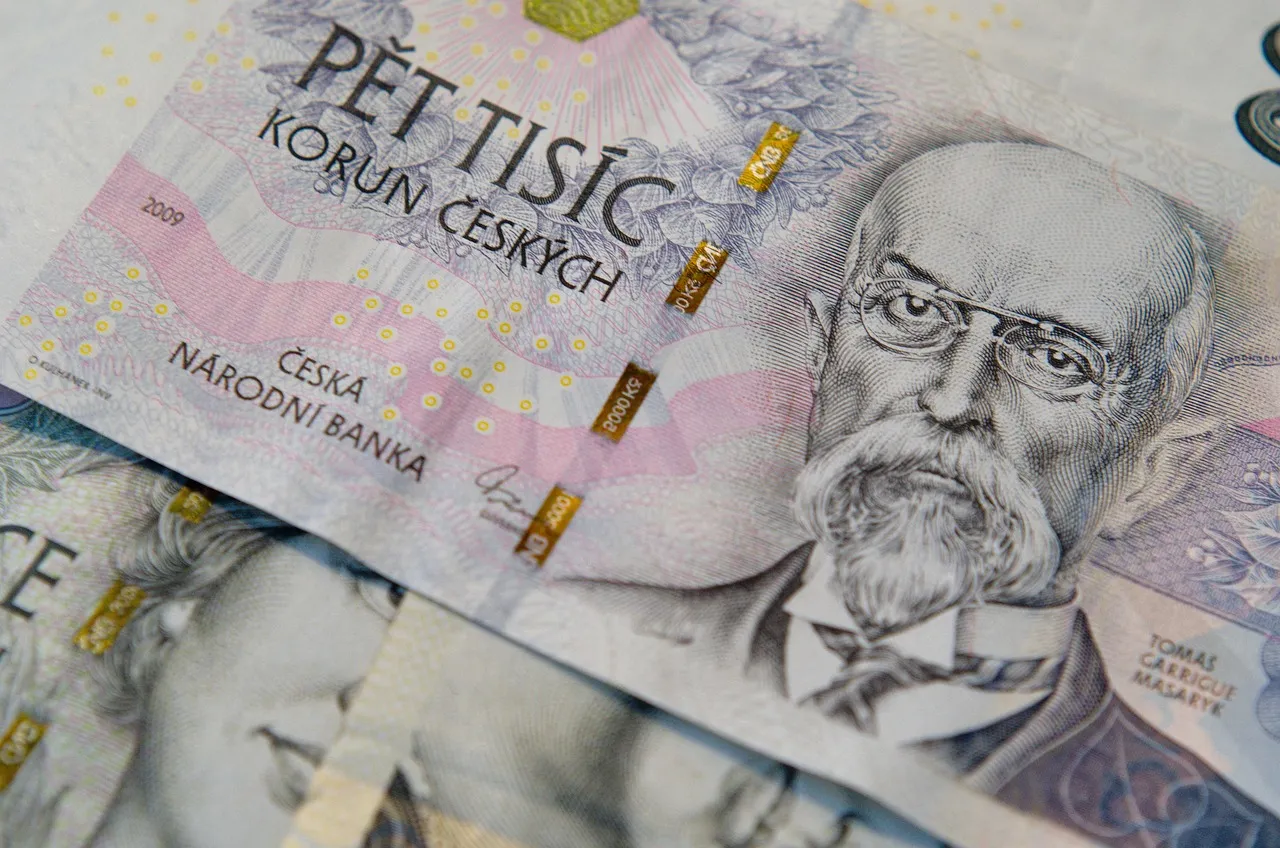 money, cash, czech crowns, banknotes, finance, europe, investment, crown, czechia, money, money, finance, finance, finance, finance, finance