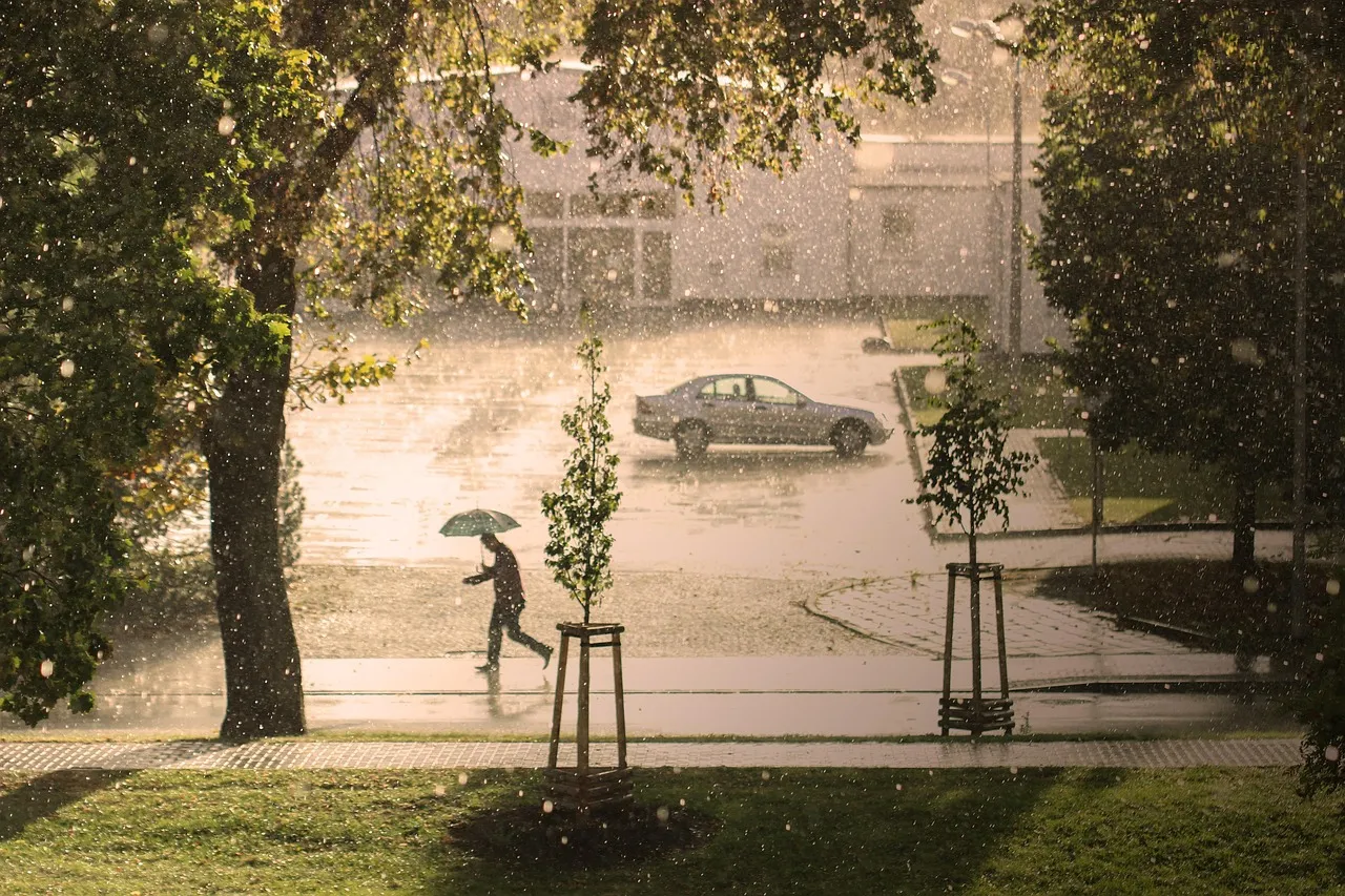 man, umbrella, rain, hail, storm, run, thunderstorm, precipitate, water, climate, road, street, nature, urban, city