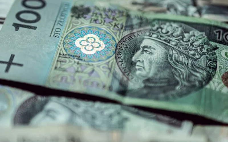 Detailed close-up of Polish zloty banknotes focusing on 100 PLN, highlighting intricate currency design.