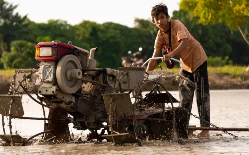 A teenage boy operates a tractor to plow a muddy field on a farm, highlighting agricultural labor.