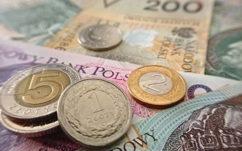Close-up of Polish coins and banknotes, showcasing zloty currency details.
