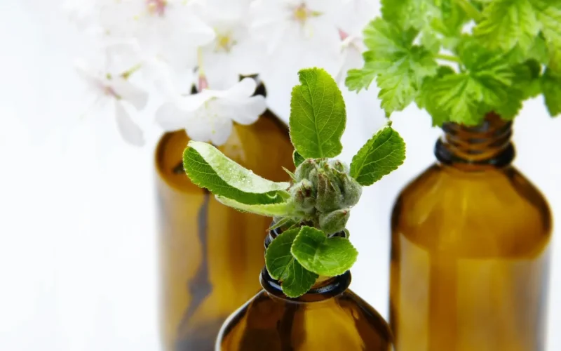 szkło, butelki, kwiat jabłoni, apteka butelki, aromaterapia, olejki eteryczne, odnowy biologicznej, zapach, perfumy, spa, piękno, kosmetyki, higiena osobista, skóra, zapachy, medycyna alternatywna, domowej roboty, naturalnie, kosmetyki naturalne, aromaterapia, olejki eteryczne, olejki eteryczne, olejki eteryczne, olejki eteryczne, olejki eteryczne, zapachy, zapachy, zapachy, kosmetyki naturalne