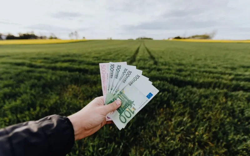 Crop unrecognizable farmer with one hundred and five hundred euro banknotes in hand in large green rural field on summer day