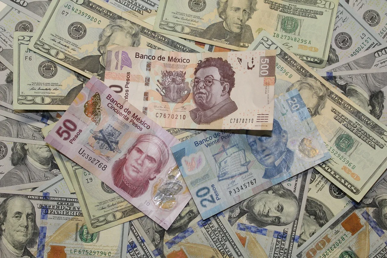 pieniądze, dinero, peso, waluta, gotówka, meksykański, mxn, dolar, wymieniać się