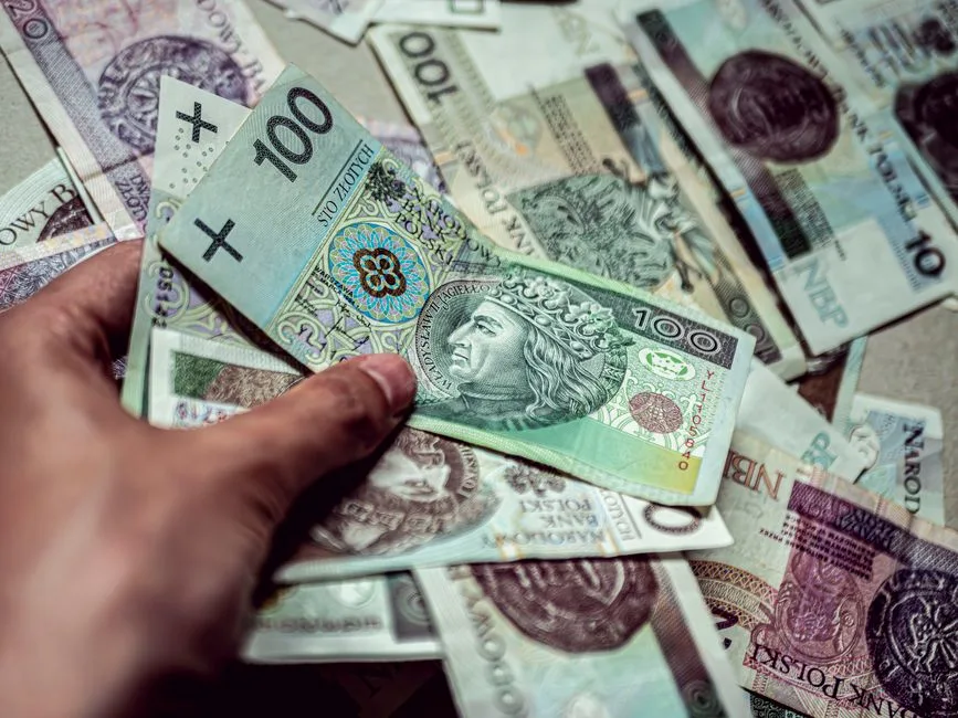 A hand holding Polish Zloty banknotes, depicting currency and finance.