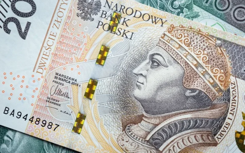 Detailed image of Polish Zloty banknotes featuring historical figures, emphasizing currency design.
